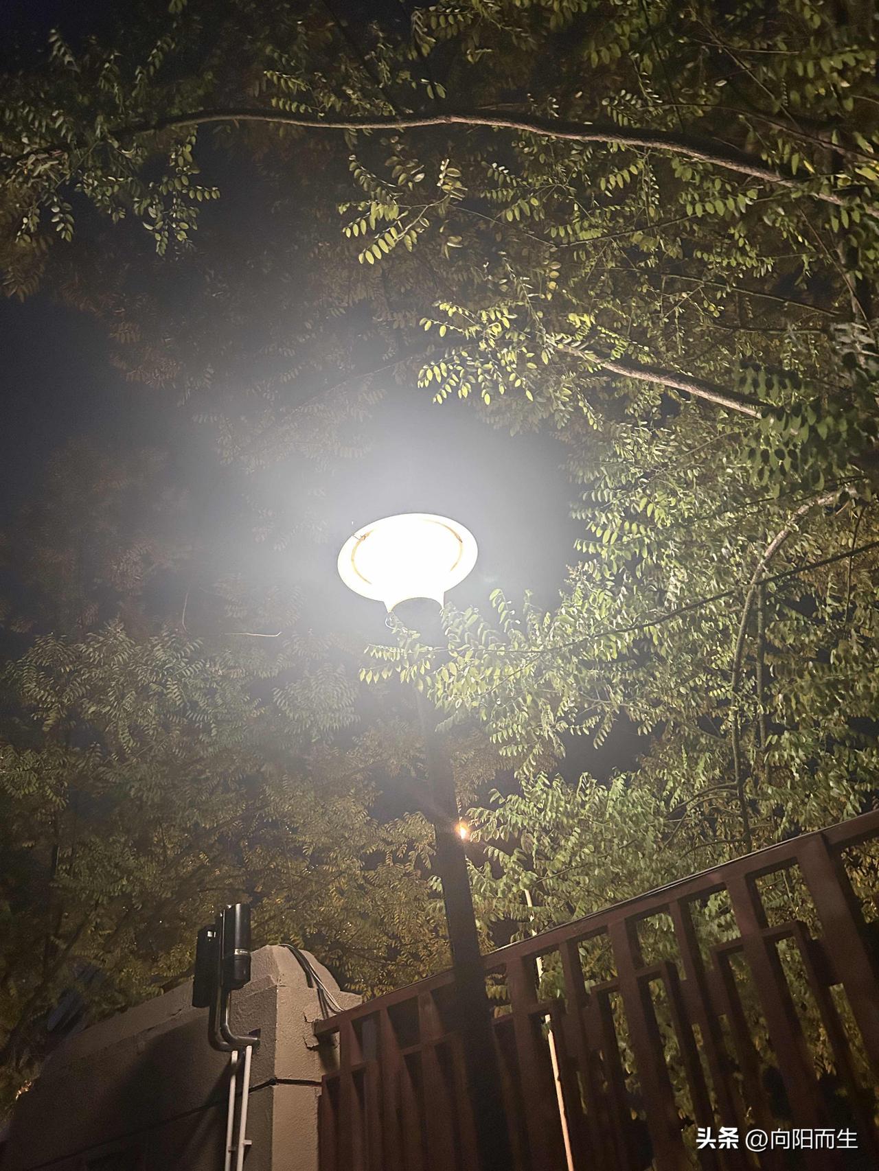 今天下午前夫把孩子送回来了，大闺女白白净净的，小闺女晒黑了，一星期的时间暑假孩子