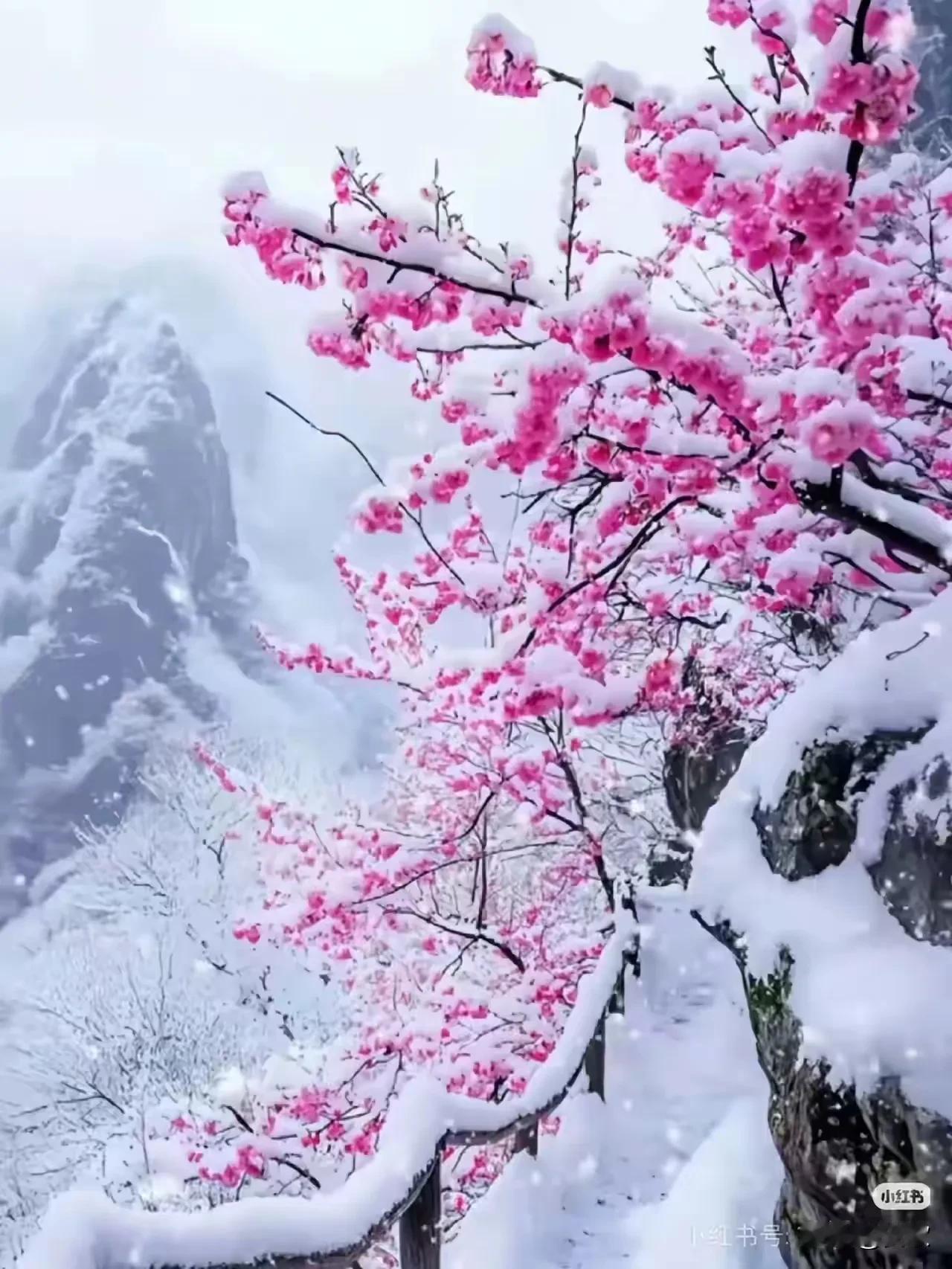 上联:风摇竹影传佳话
下联:雪落梅香入画图
横批:诗情画意