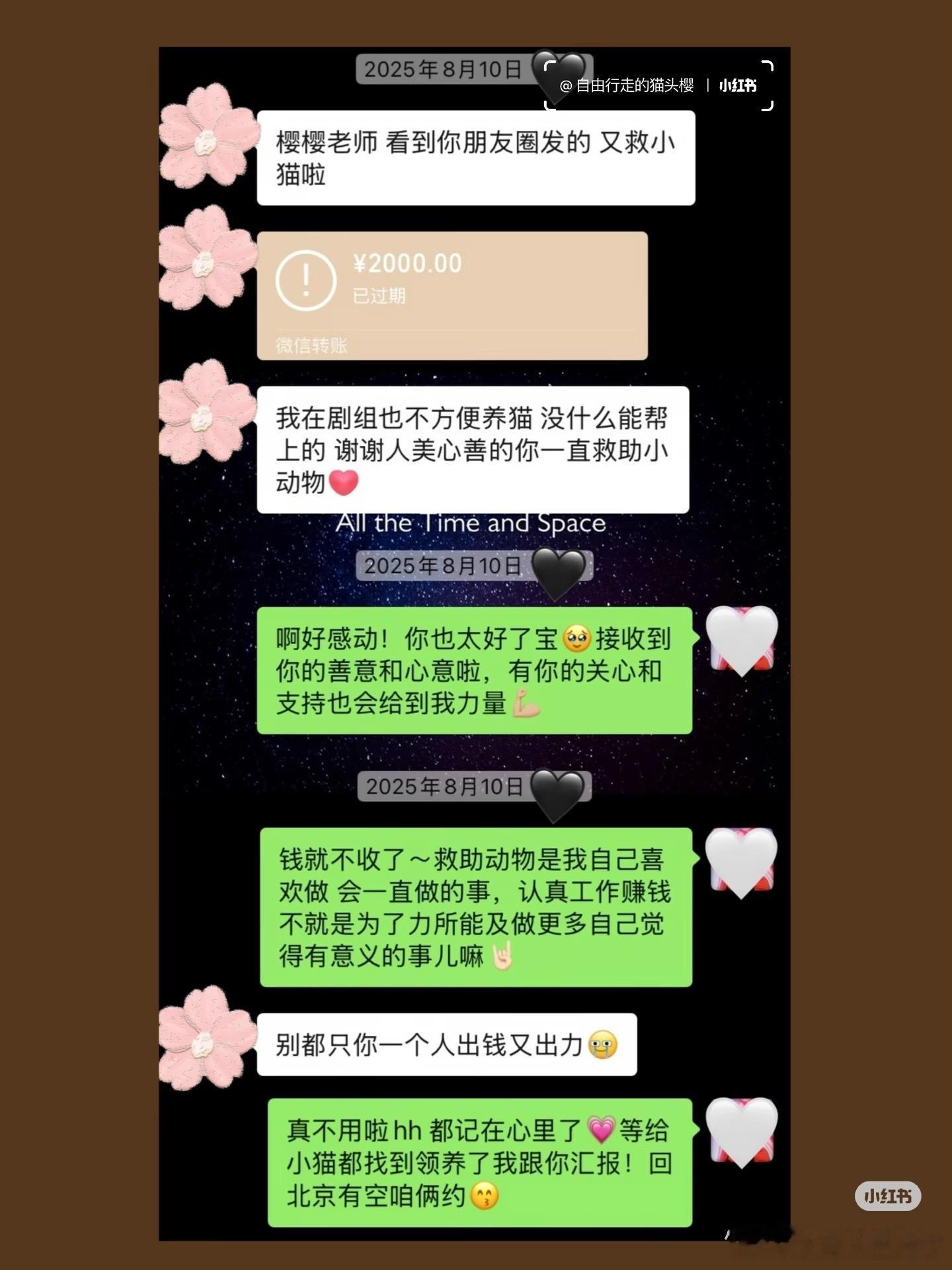 呜呜呜呜呜呜我又看哭了，她还救助小猫[苦涩][苦涩][苦涩]甚至没有让博主分享自