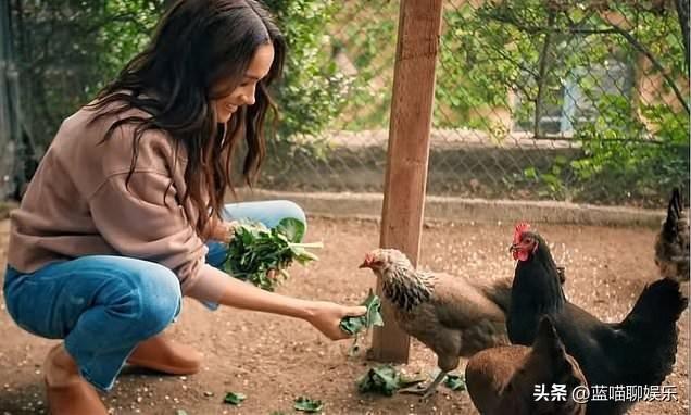 梅根在Instagram分享了一条关于“鸡”的帖子。
报道称，苏塞克斯公爵夫人一