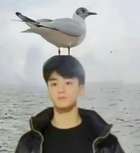 老哥真的是一个非常非常敢折腾的人，不知道有没有人能懂，真的巨能折腾 