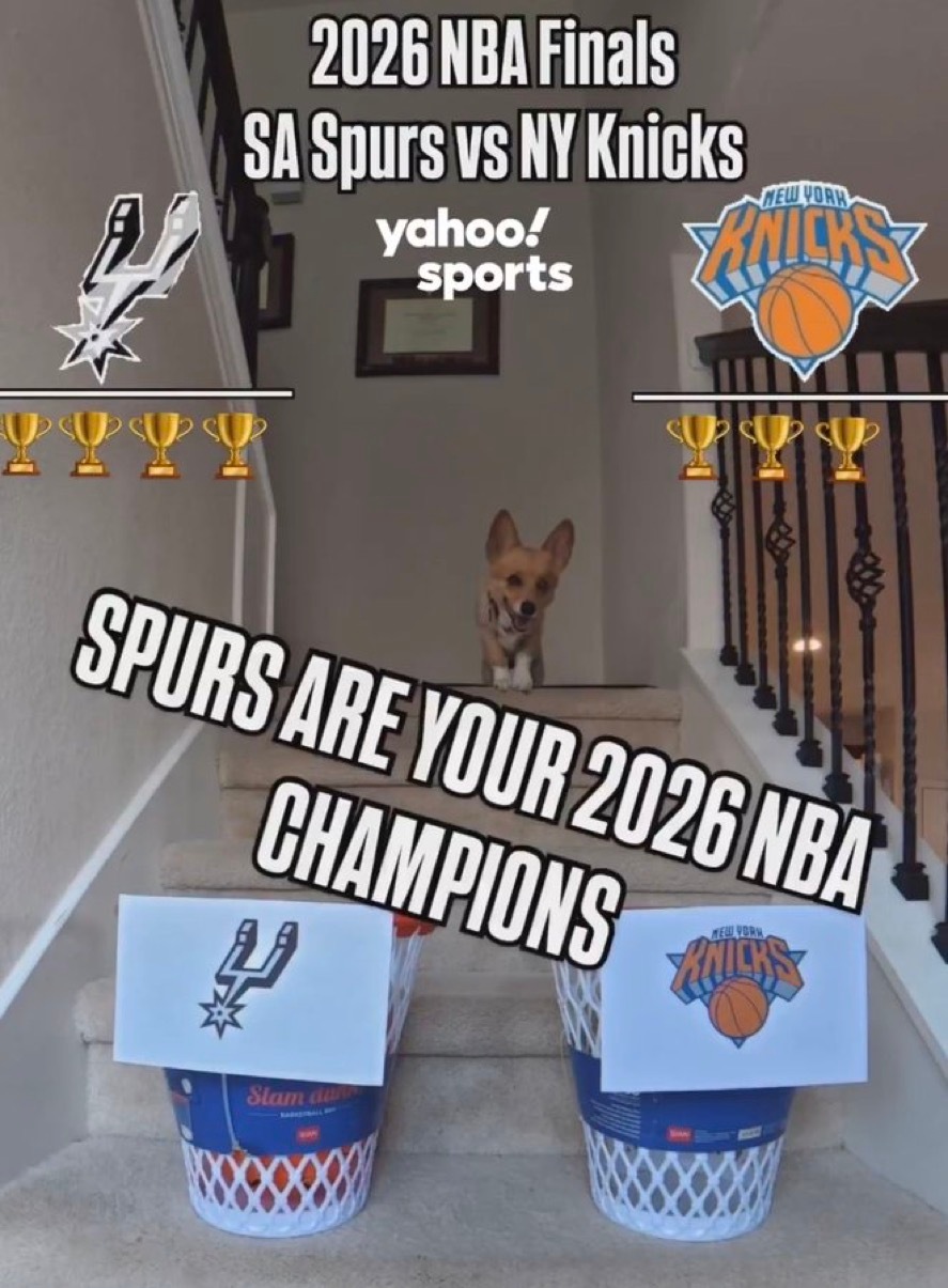 网红柯基预测马刺夺冠🏆 