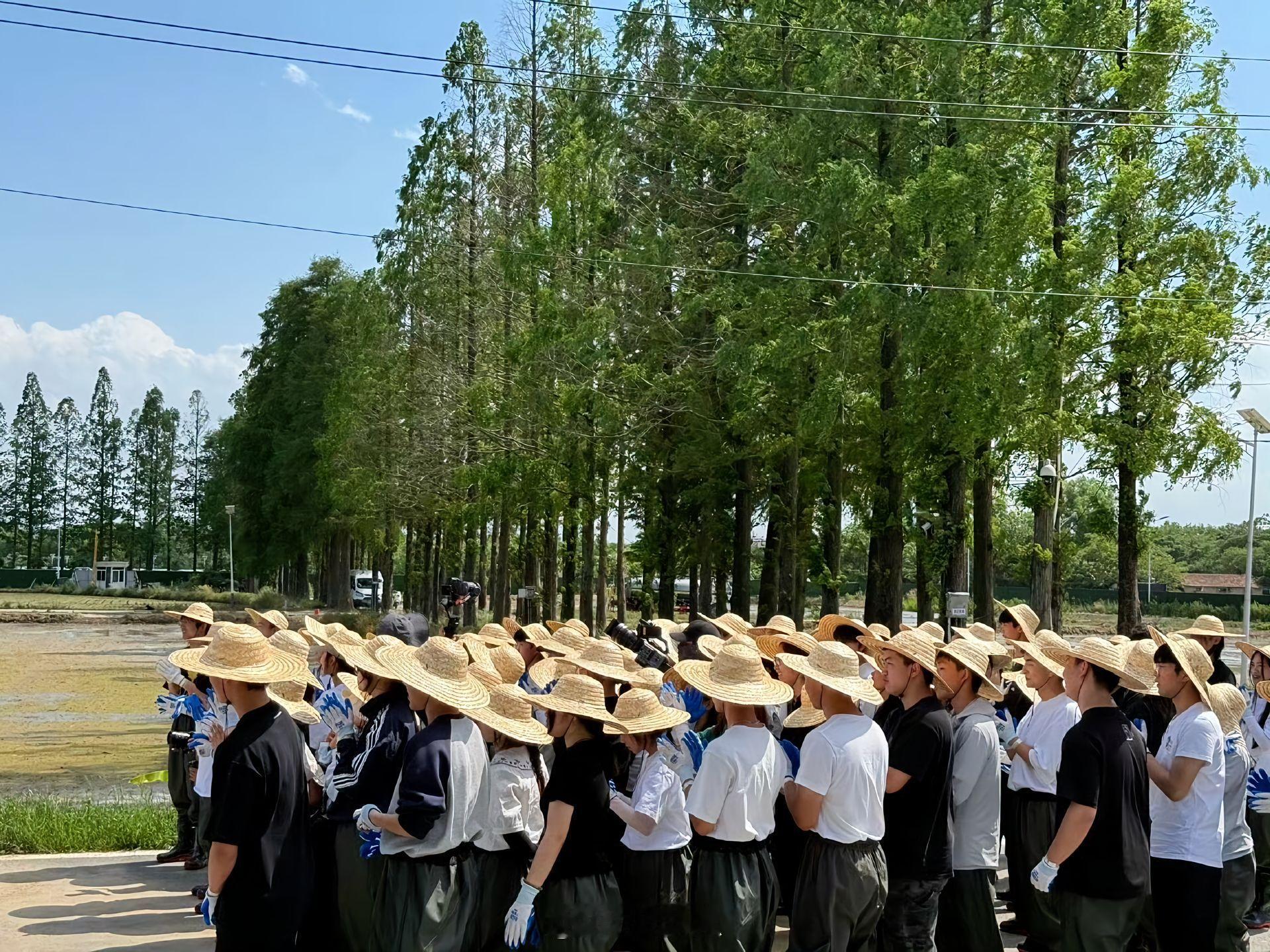 十个勤天[超话]从来没有哪个劳动节这么想干活[裂开]全给你们晒黑，晒成黑蛋[挤眼
