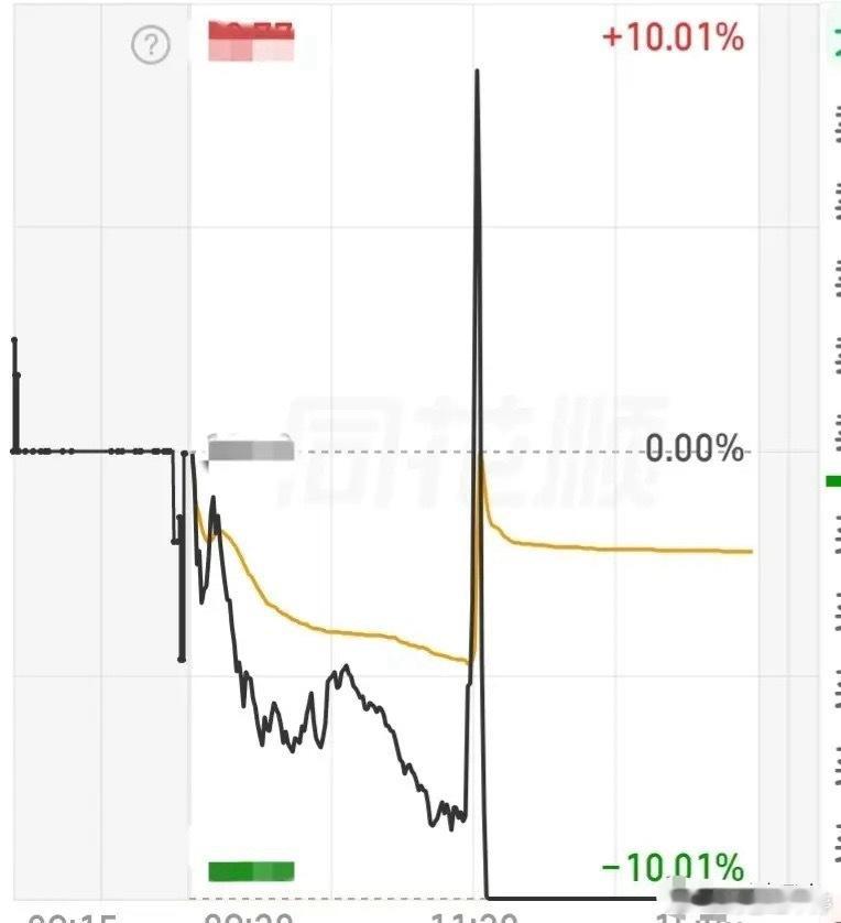 今天走势非常恶心的一个股，有人在它身上一天亏损25%， 