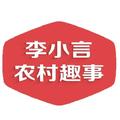 李小言农村事趣