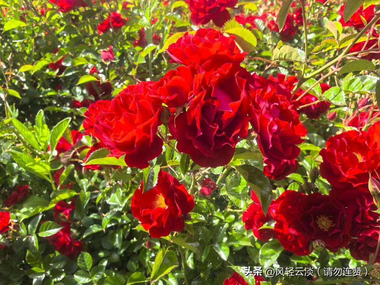 不必追问生命的标准答案，你认真活过的每一秒，你用心感受的每一份甜与暖，就是它最鲜