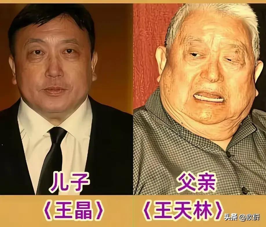 香港演艺圈父子档大盘点，你能想到他们是一家人吗？

先说说王天林与王晶
王天林，