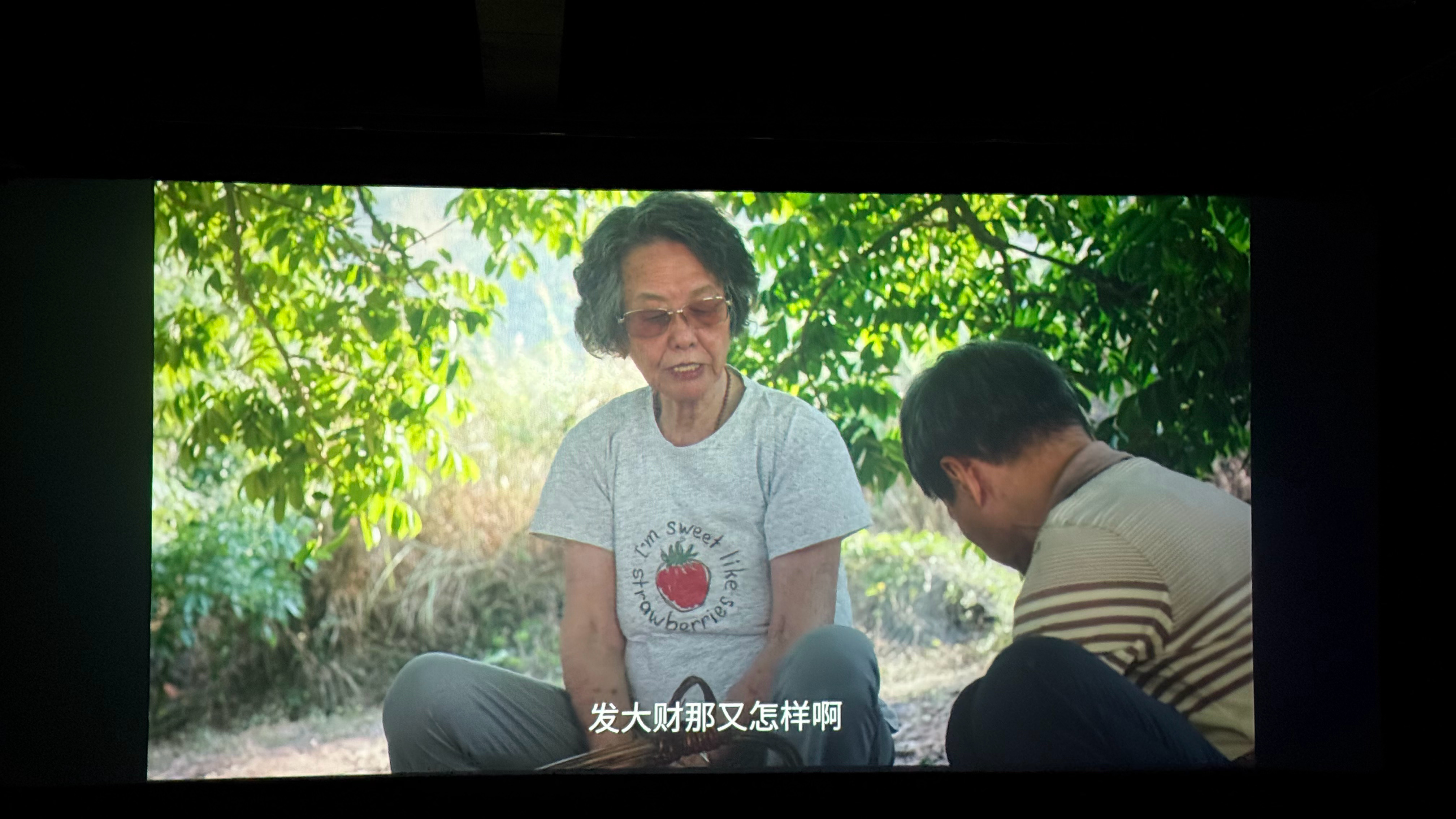 我应该最晚才看的吧写给阿嬷的情书