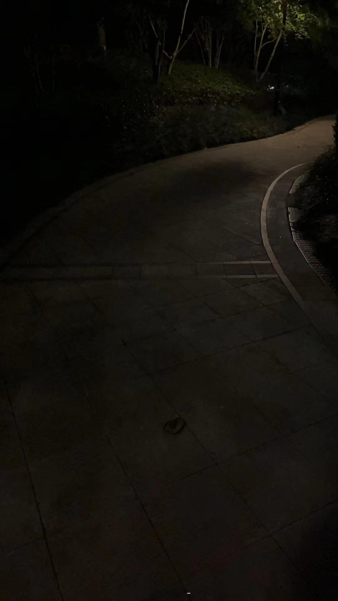 小区生态真好蛇🐍出洞杭南的摄影日记随手拍杭州 ​​​