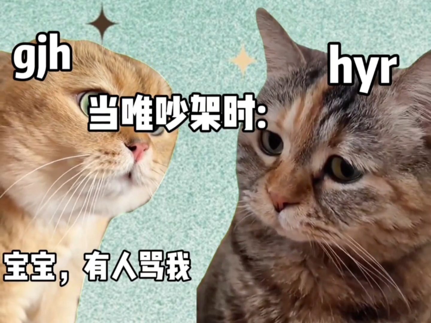 四个字，低调观看 