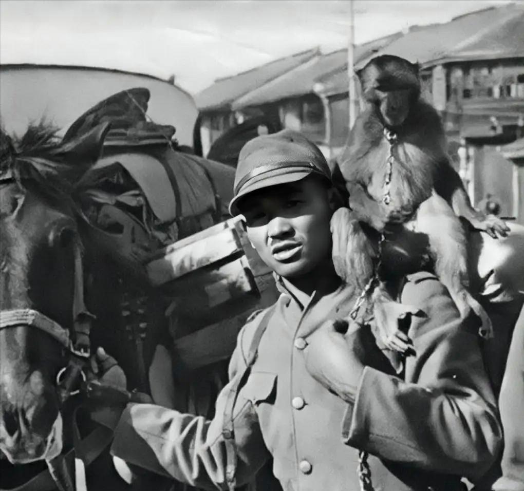 1938年的南京街头，一个日本士兵抢了中国人的一只猴，他牵着的那头驮满物资的马，