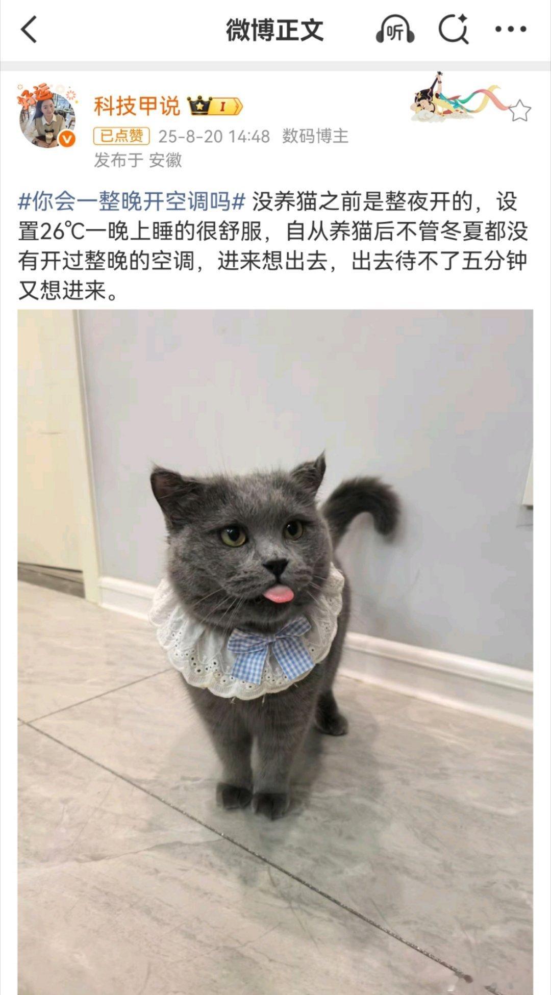 你会一整晚开空调吗我会，我和我老婆以前是开一整晚的，毕竟现在空调节能做的挺好的…