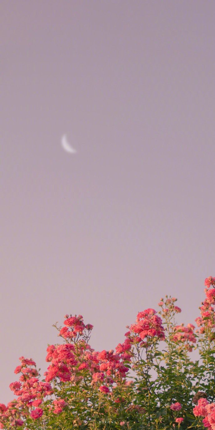 有哪些一眼爱上的句子？1.花开如火，也如寂寞。——顾城2.你顺手挽起火焰化作漫天