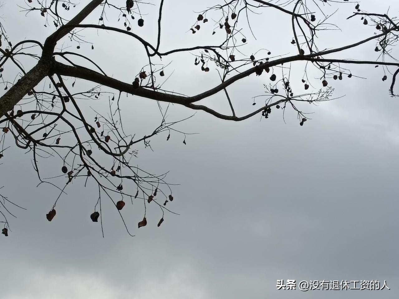 办公室的张大姐很苦恼，儿子好不容易看对眼的姑娘，提了一个要求后吹了！

她说：不