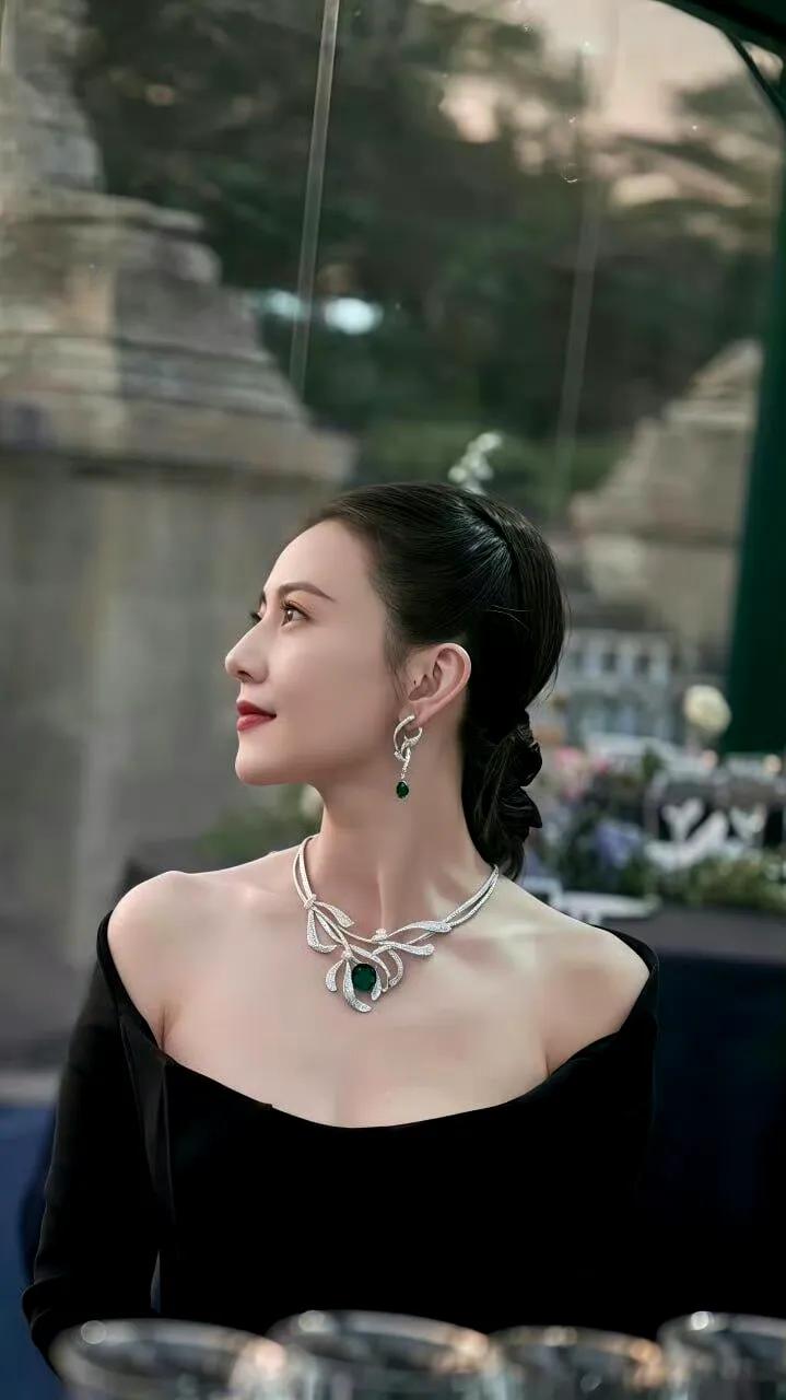 这张侧颜照真是太惊艳了。完美的脸部轮廓，立体精致的五官。比她脖子上的蓝宝石更美！