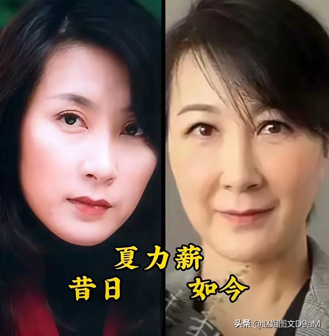 年轻的时候她们的颜值很高
夏力薪,内地演技派女演员,美丽与演技兼备,毕业于中央戏