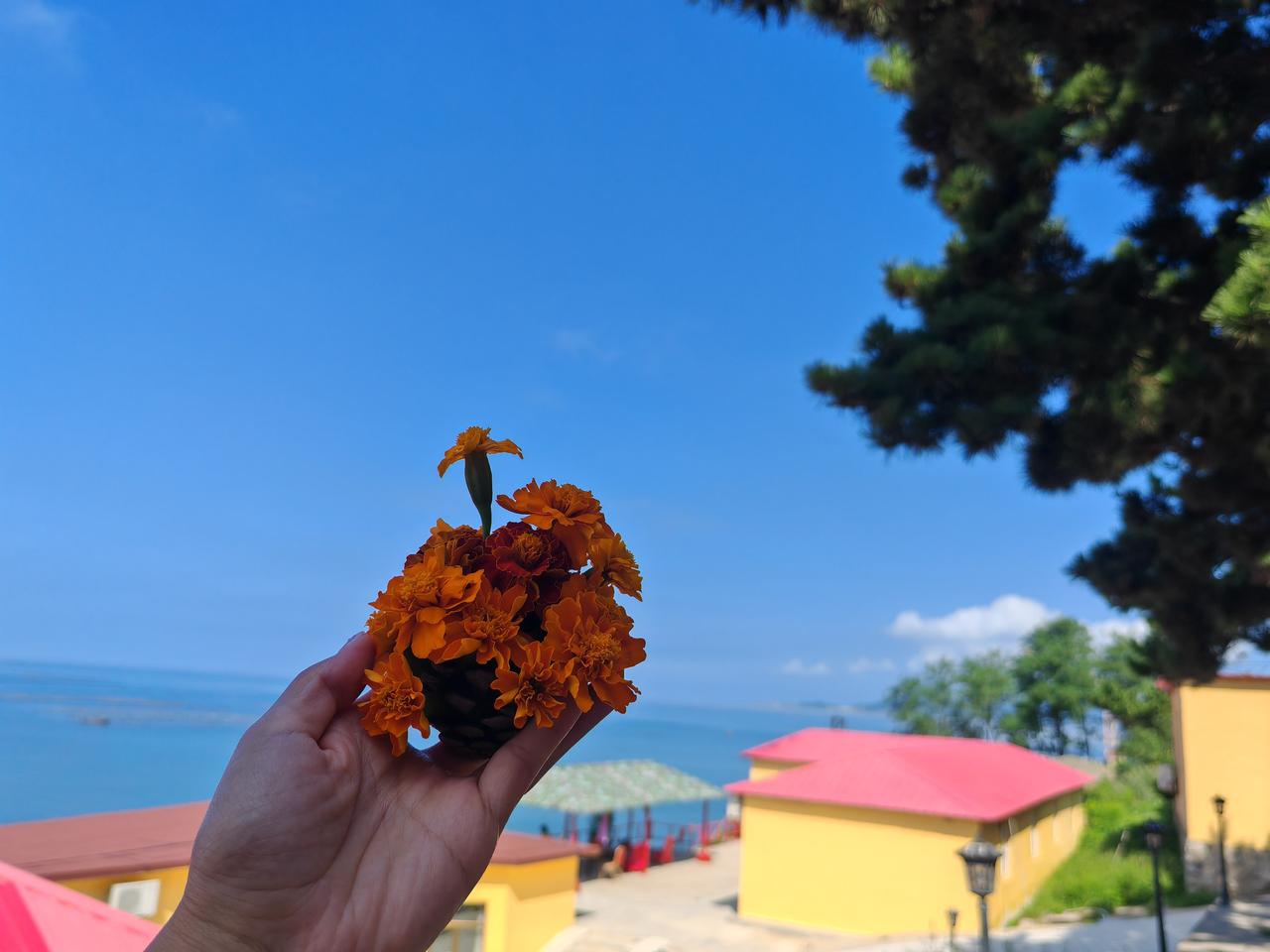 越来越少的去关注大自然了