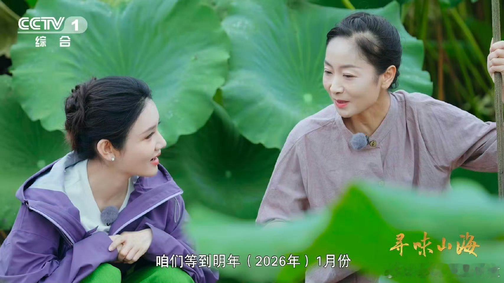湖北有世界第一长莲藕不愧是“中国莲藕之乡”蔡甸！3.473米的超长莲藕新晋世界之