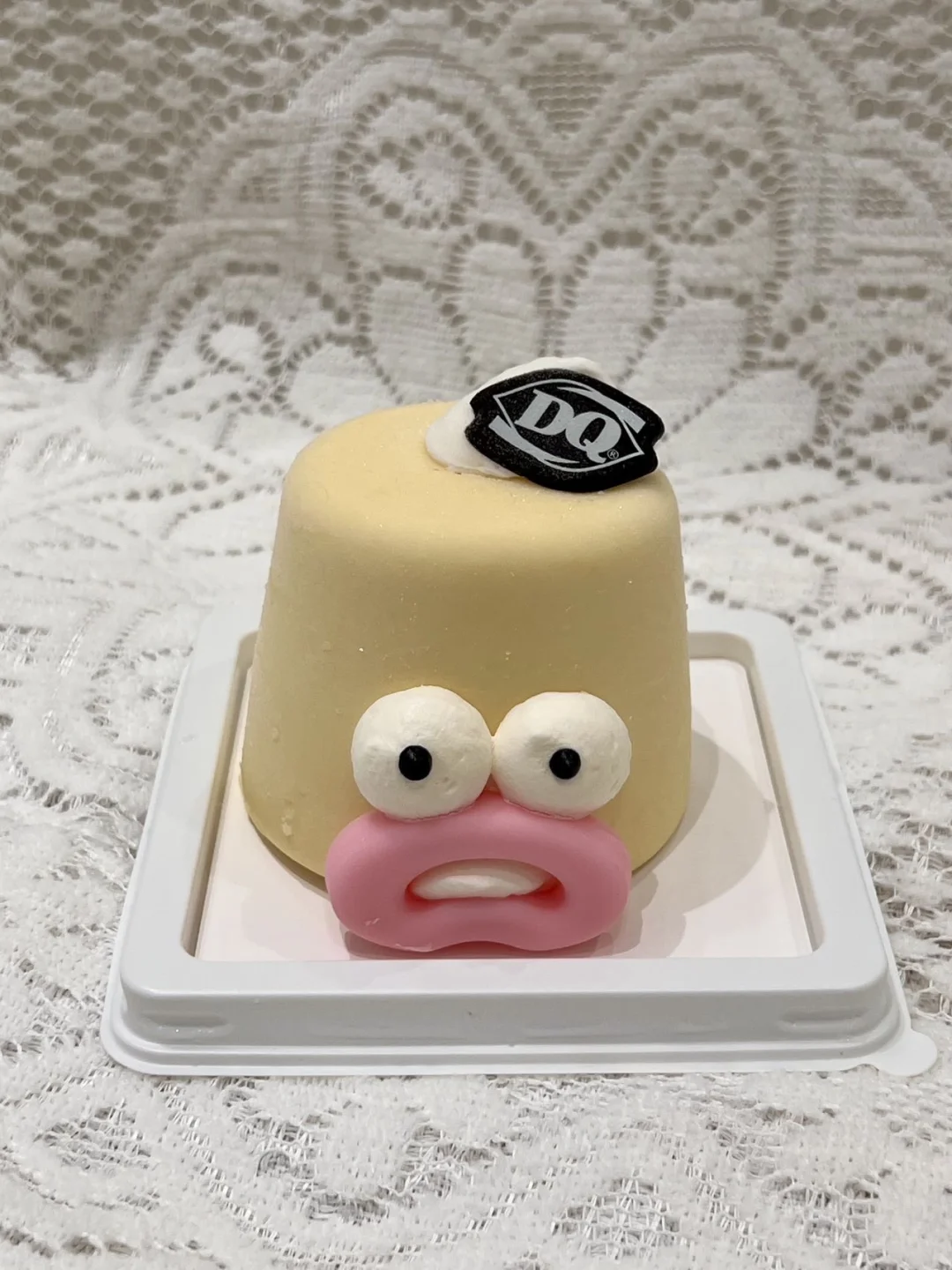 爆眼呆瓜🧁简直萌翻全场