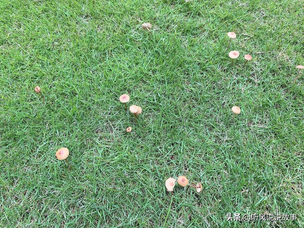 ❤️有人在布局明年，有人在等待过年，表面上，市场在洗牌，其实洗的是人，凡是不思进