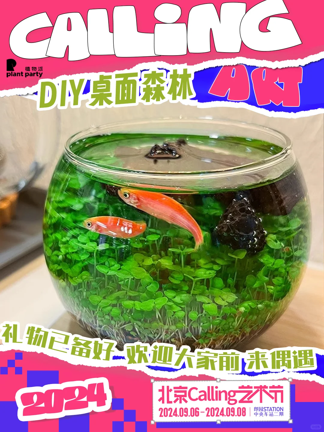 植物派❌Calling艺术节，来一场探藓之旅