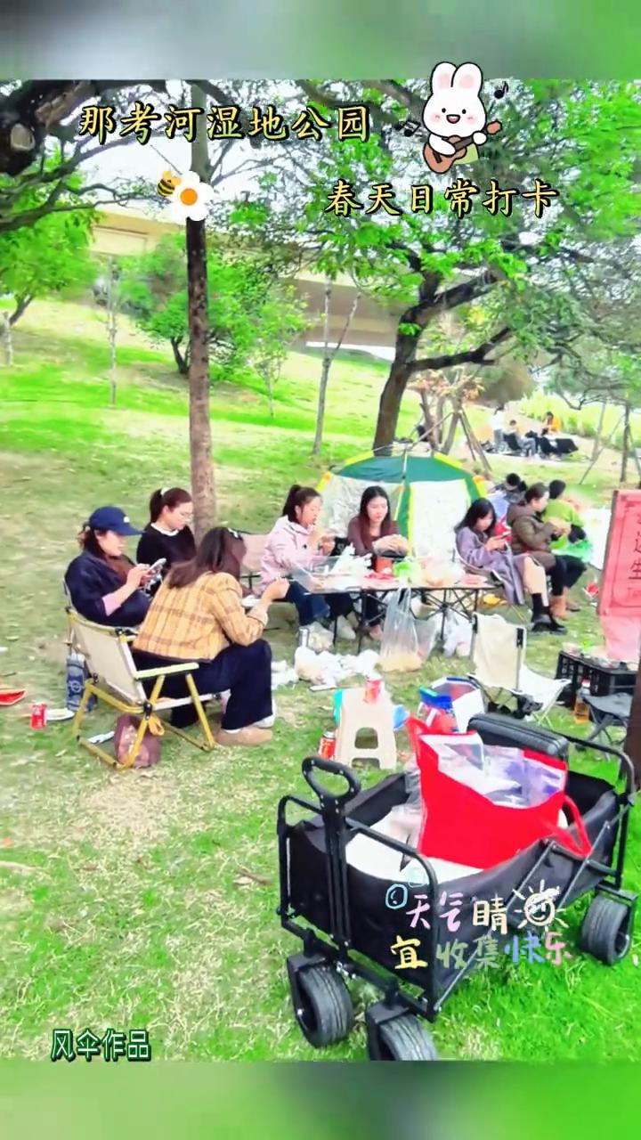 那考河湿地公园春天日常打卡。
天气晴海，宜收集快乐。晴人河湿地公园。