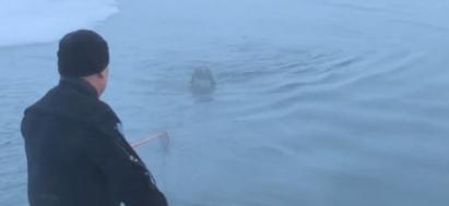 【雅库茨克一辆小型货车破冰而出：多人死亡，其中包括一名儿童 一辆载有乘客的小型货