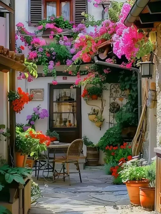 美图欣赏——花香四溢的宁静天地