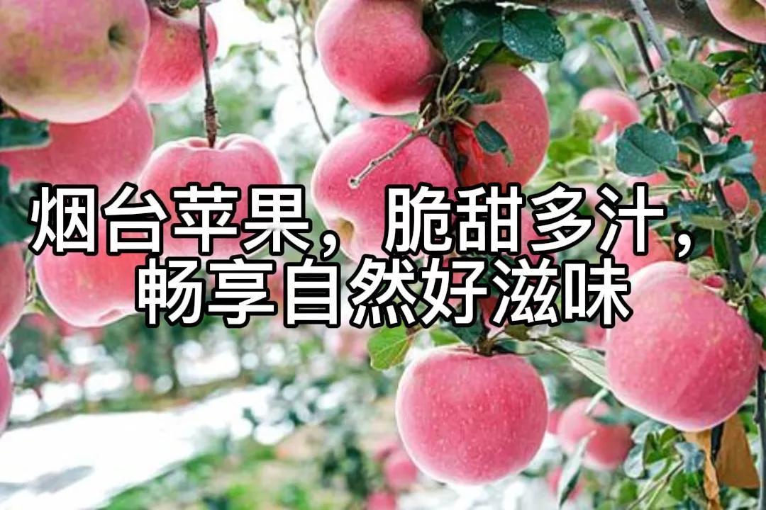 #烟台苹果的特点是什么?#烟台苹果具有诸多显著特点。果形端正，果面光洁，色泽鲜艳