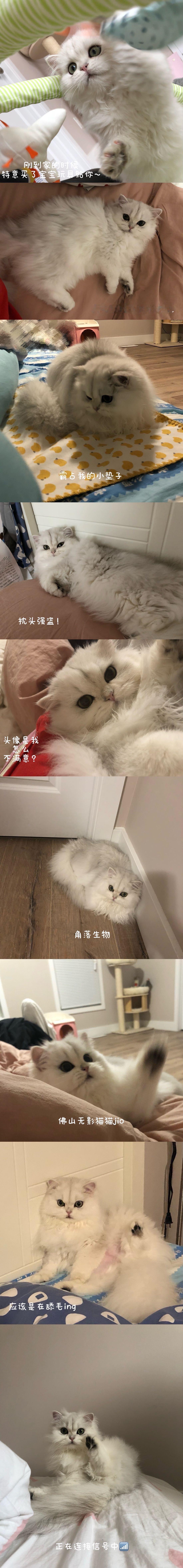 一年一度扭扭生日plog让我们㊗️同窝的各位小朋友六岁快乐🎂🎂🎂🎂🎂?