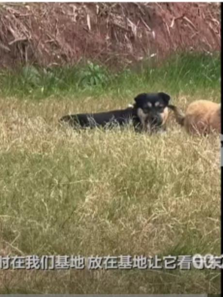 2月4日的四川成都金堂县，空气中还透着些许寒意，对于当地的救援队来说，这一天却显