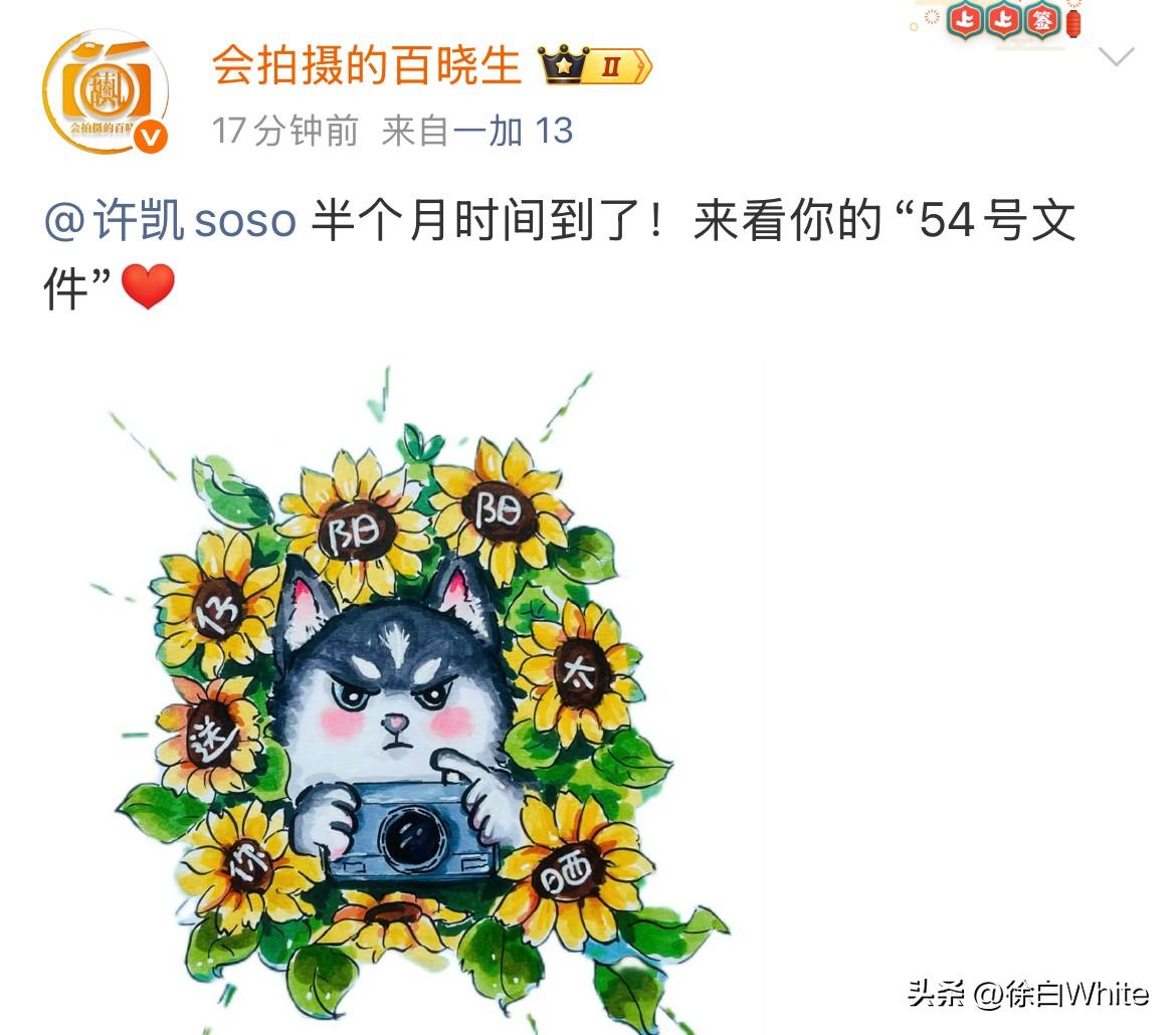 9月8日，许凯新料，这次真成废墟了！
许荔枝爆料许凯长期聚众DB，金额高达上百万