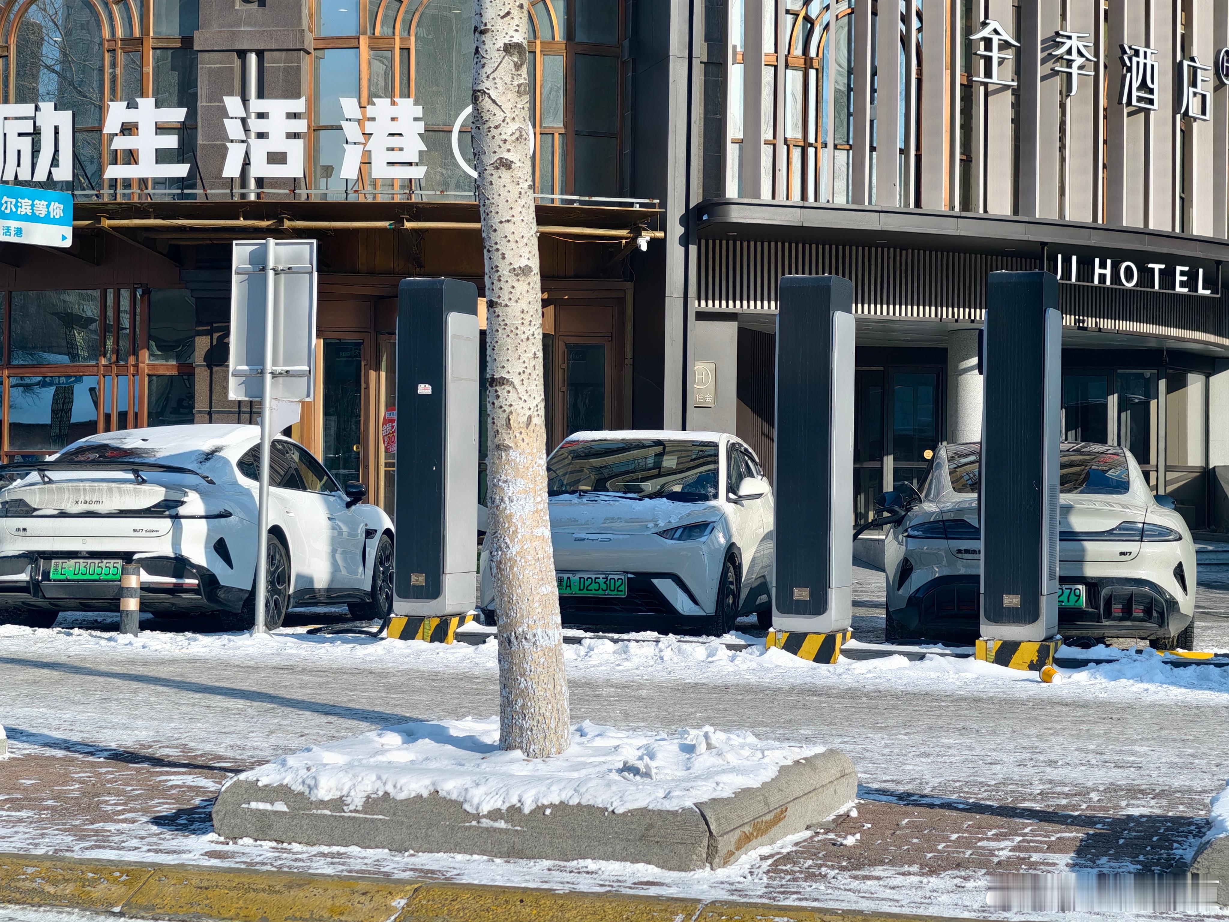 逛在大东北街上遇到的纯电车（有些来不及拍没画面），有油箱版本的车型看屁股有没有冒