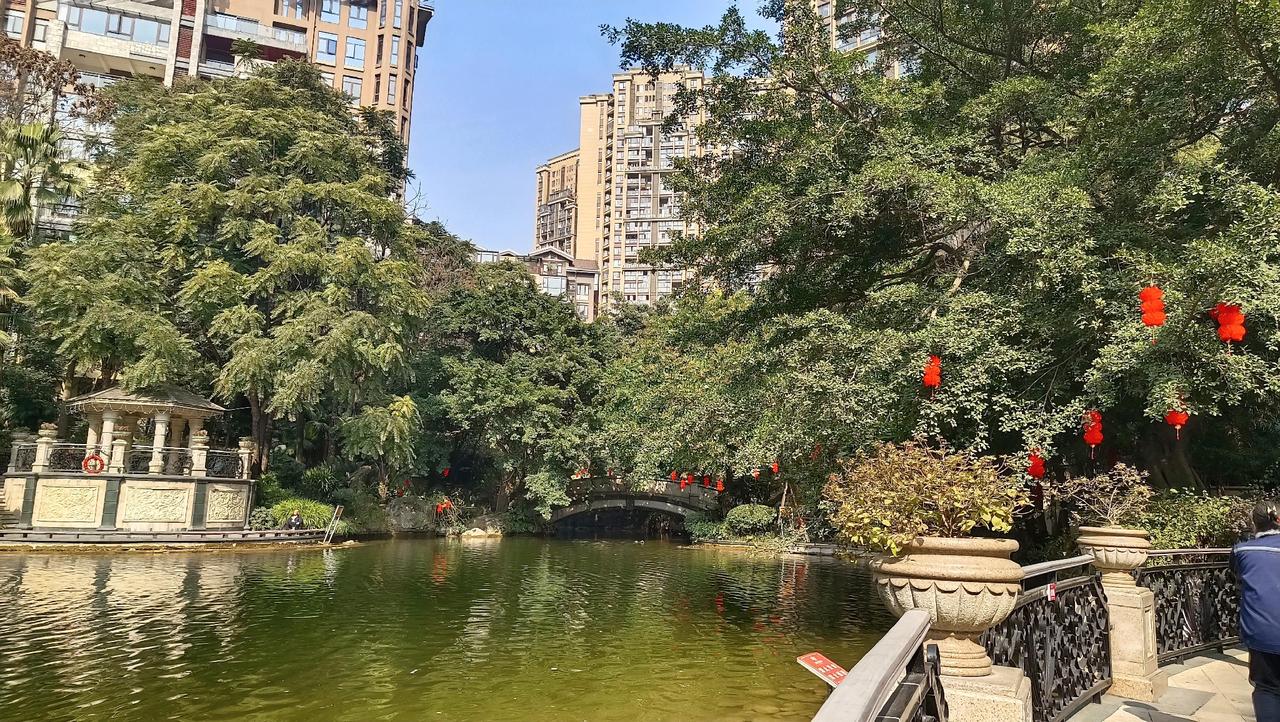 我爸62岁盯着阿姨看了3秒，我闺蜜骂他不正经，查完数据我沉默了！父母老了的感受 