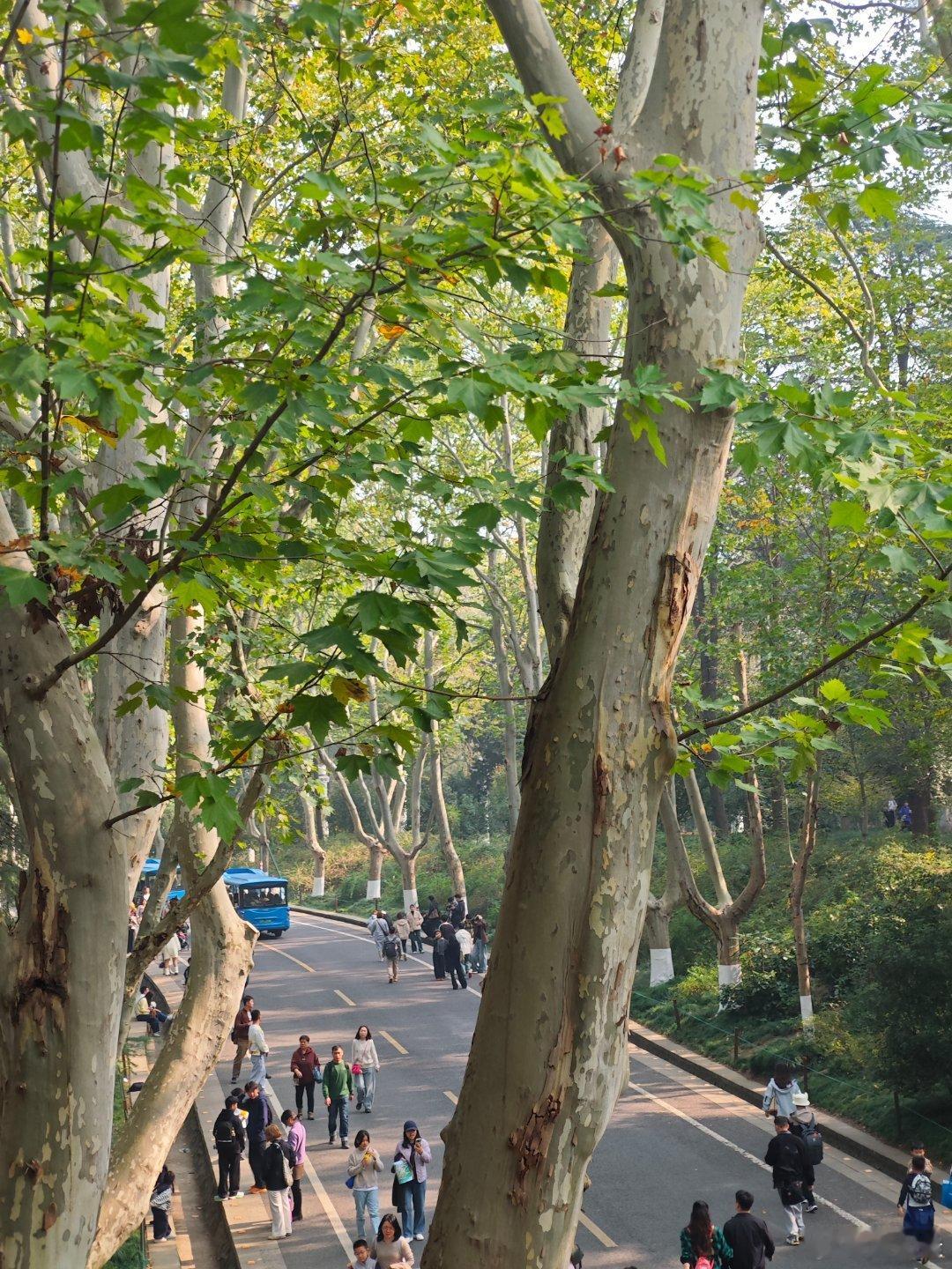 人生原本没有什么意义，你赋予它什么意义，它就有了什么意义。你的人生由你自己决定，