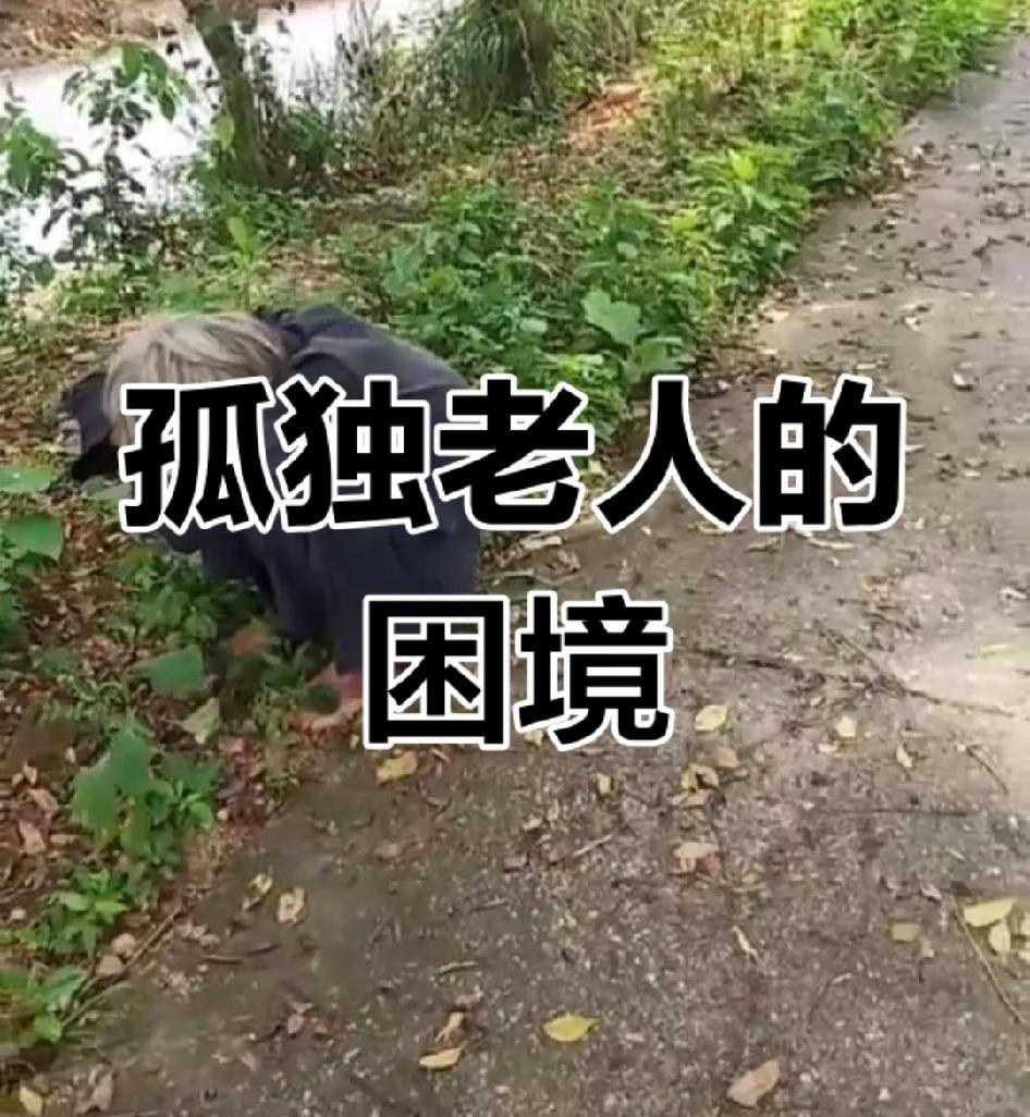 老年孤独的六个必要条件，
你们中了几条：
1.没钱
2.没结婚
3.结婚却离群