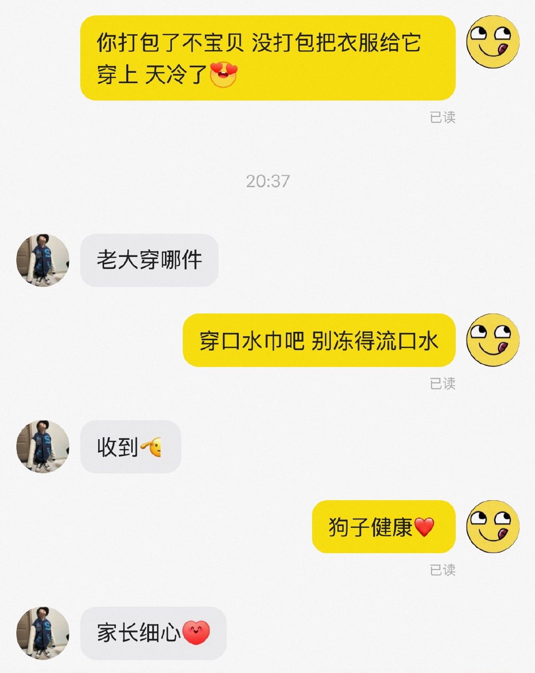 咋办我好像真的养了只狗 ​​​