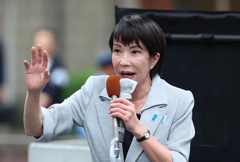 付出什么代价了？怎么就付出代价了？高市早苗收回它的言论了吗？日本官方正式道歉了吗