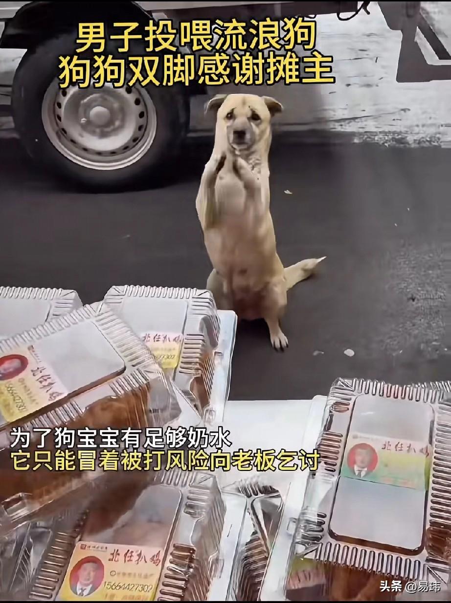 泪目了！一位大哥开了一家卤味店，平时生意还不错，这天他和往常一样在整理货品，却看