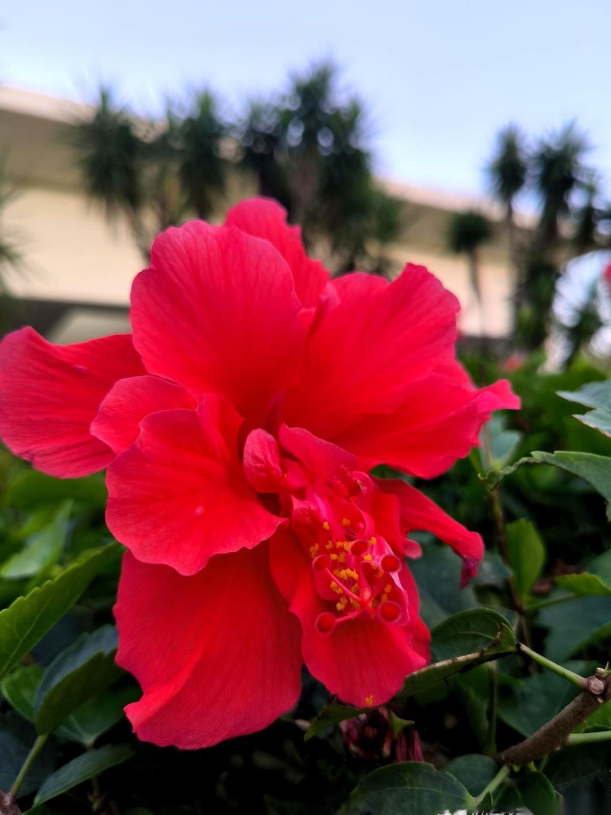 我真的看到一半，气笑了。
就那个叫黄小艾的女主，保姆当得一塌糊涂，管家不会，情绪