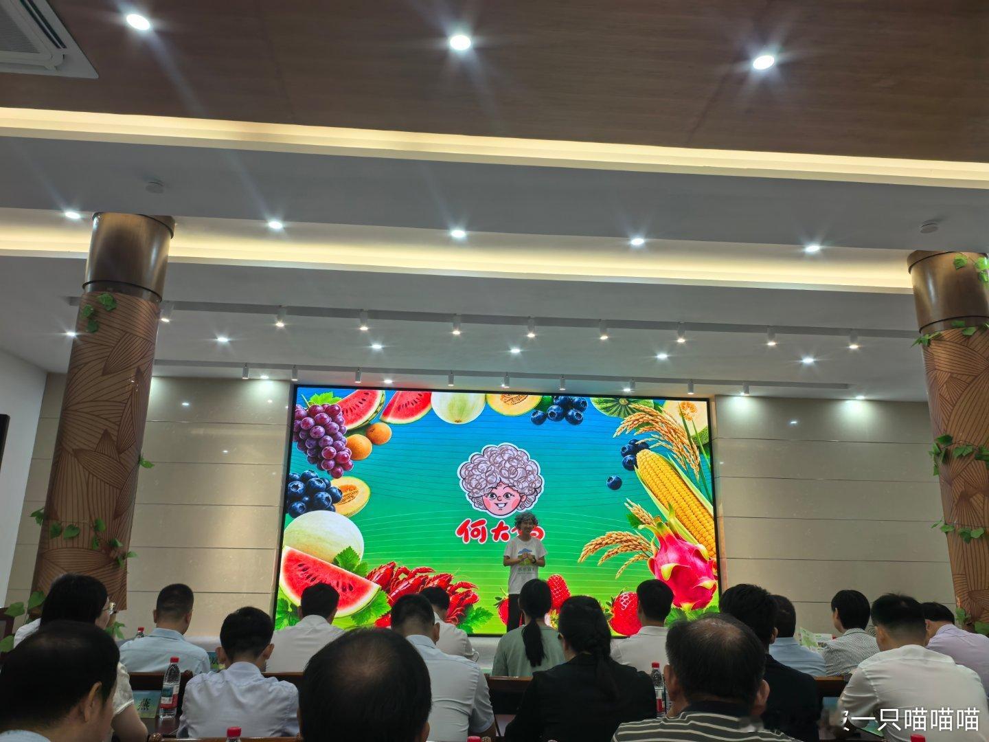 上午的事情顺利完结，开始忙下午的事情咯
