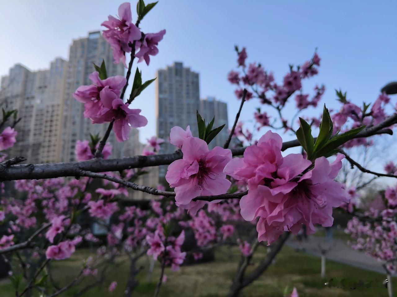 最重要的是鼓励，男孩子一定要自信，女孩子也一样。

打压式教育怎么可能教育出自信