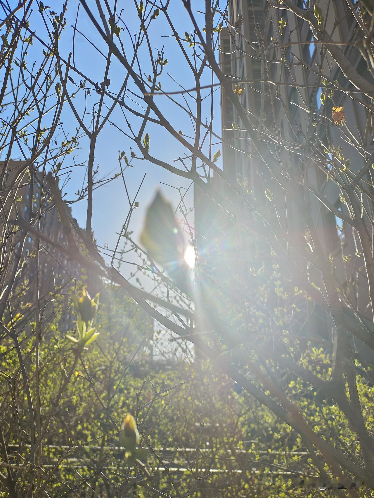 老天从来都很公平，也特别有意思，你仔细品品就懂了。
 
猫天生就爱吃鱼，腥香的鱼