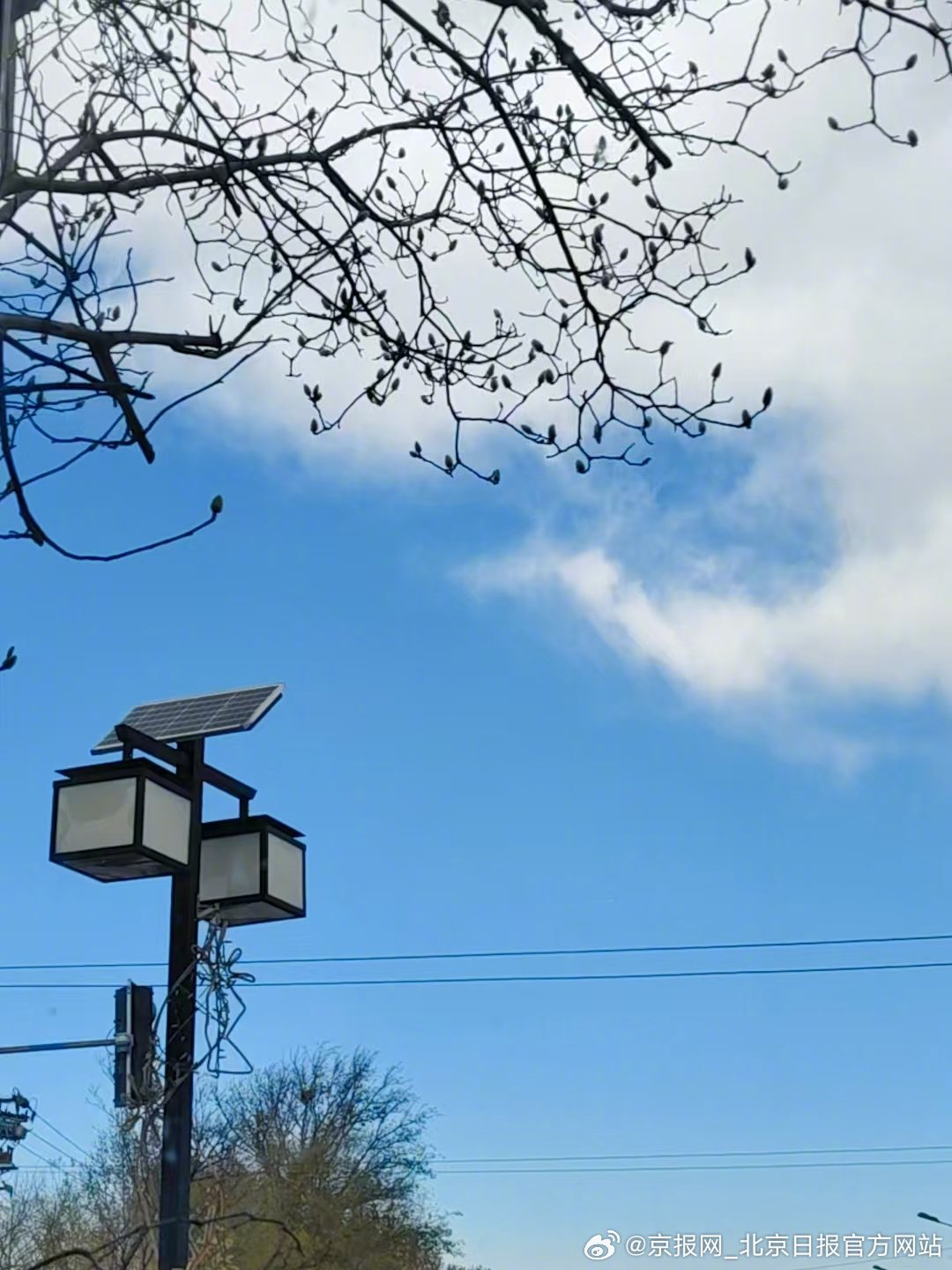 【赏心悦目！】 11月24日，北京的大风“吹”来了蓝天白云。天空开启 “漫画模式