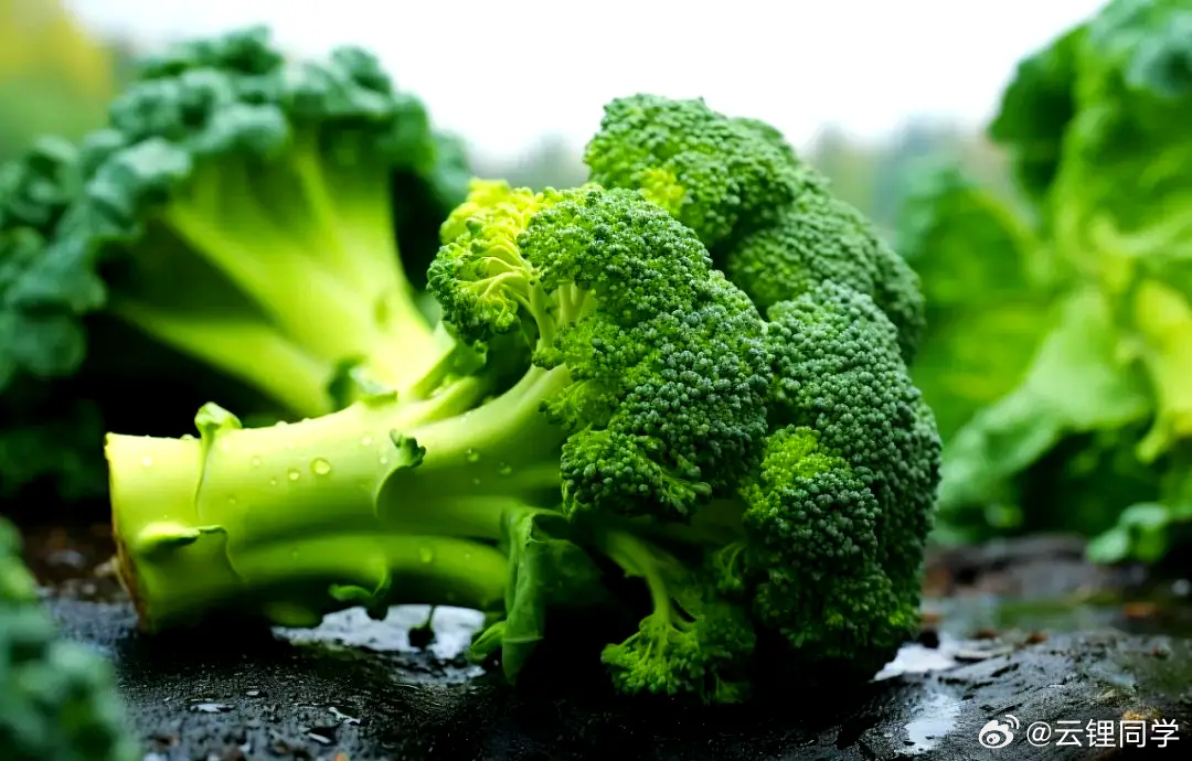 贾国龙解禁后首发声贾姓老总从来不打低端局。其实从贾总解禁之后的发言来看，他依然在