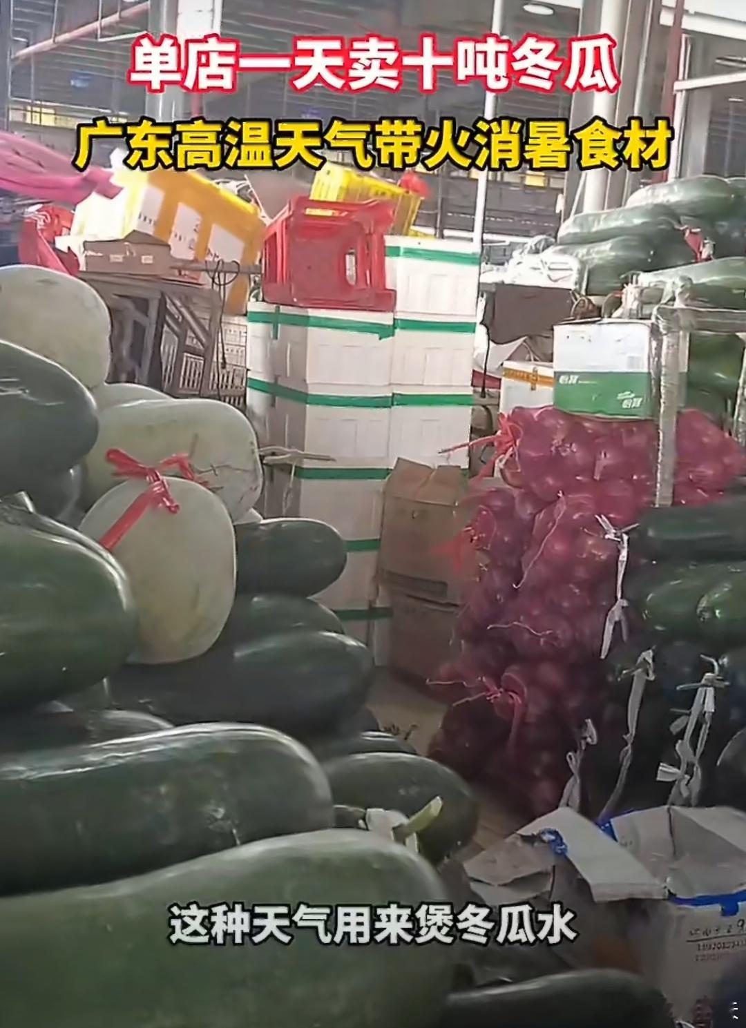 广东热到冬瓜都爆单了广州有单店一天卖出10吨冬瓜，应季冬瓜堆积如山却依然每天供不