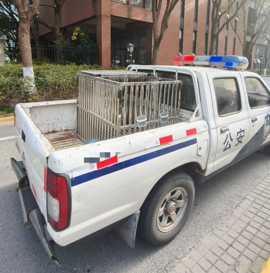 第一次在现实中碰见抓流浪动物的部门，人手一个大网，看着挺专业的。希望这次能把小区