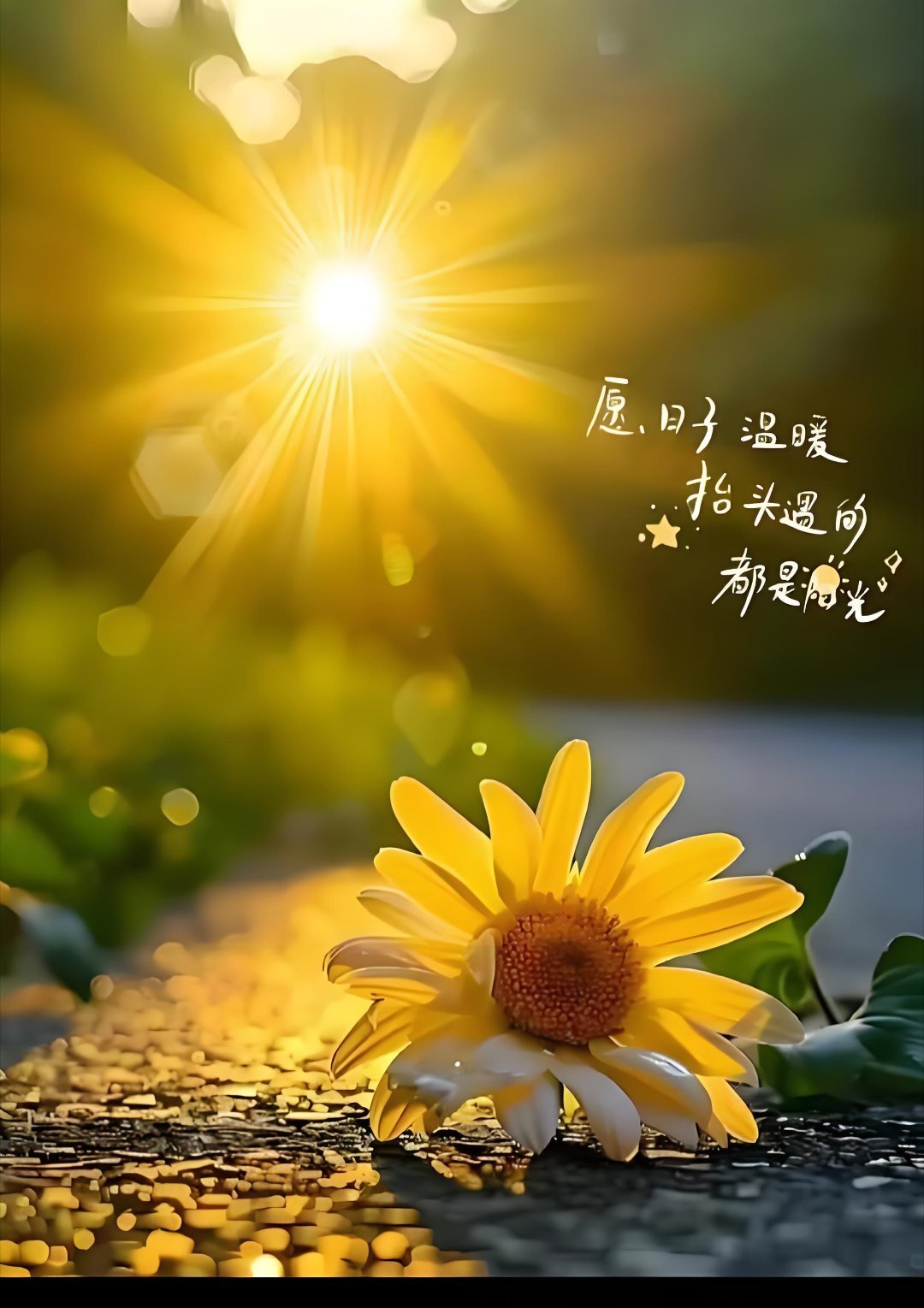 每日一善‎阳光‎信用 当善意成为本能，你便活成了一束光，既照亮他人的路，也温暖了