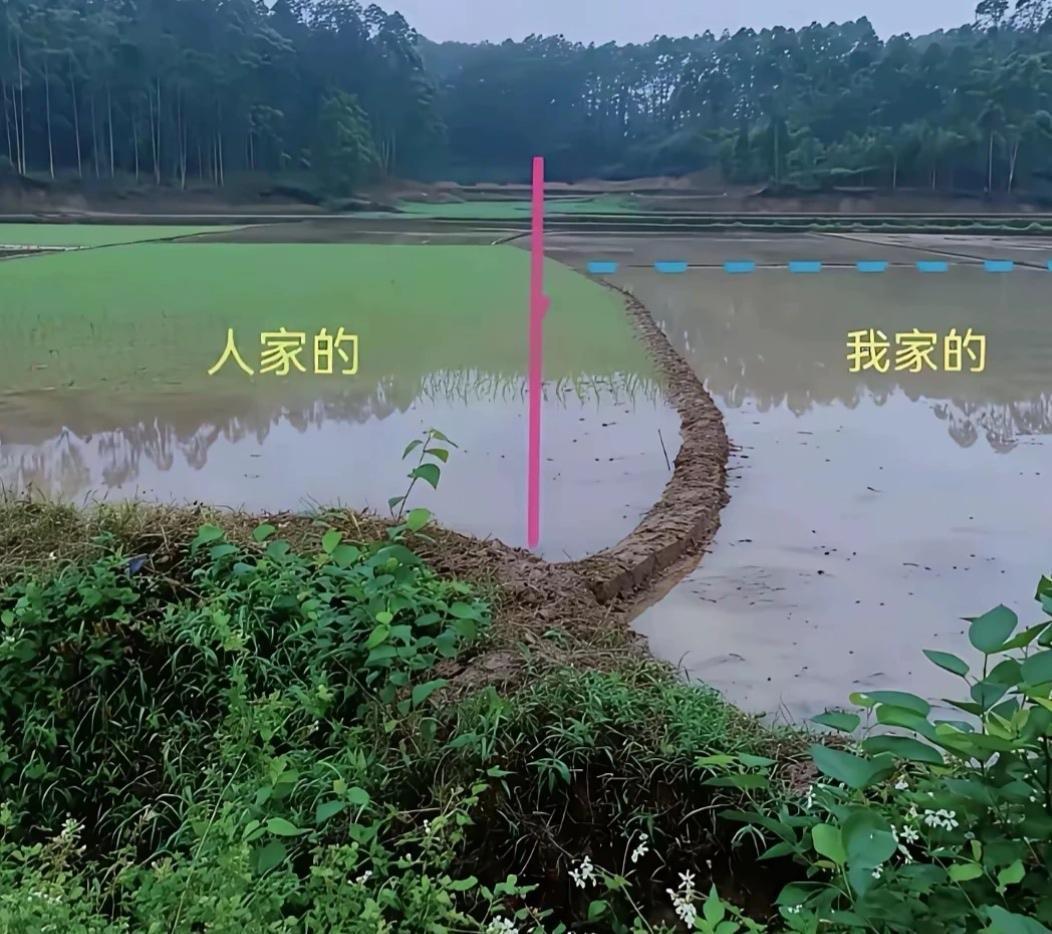 家人们，这种情况应该怎么办？一年一年的过来了！