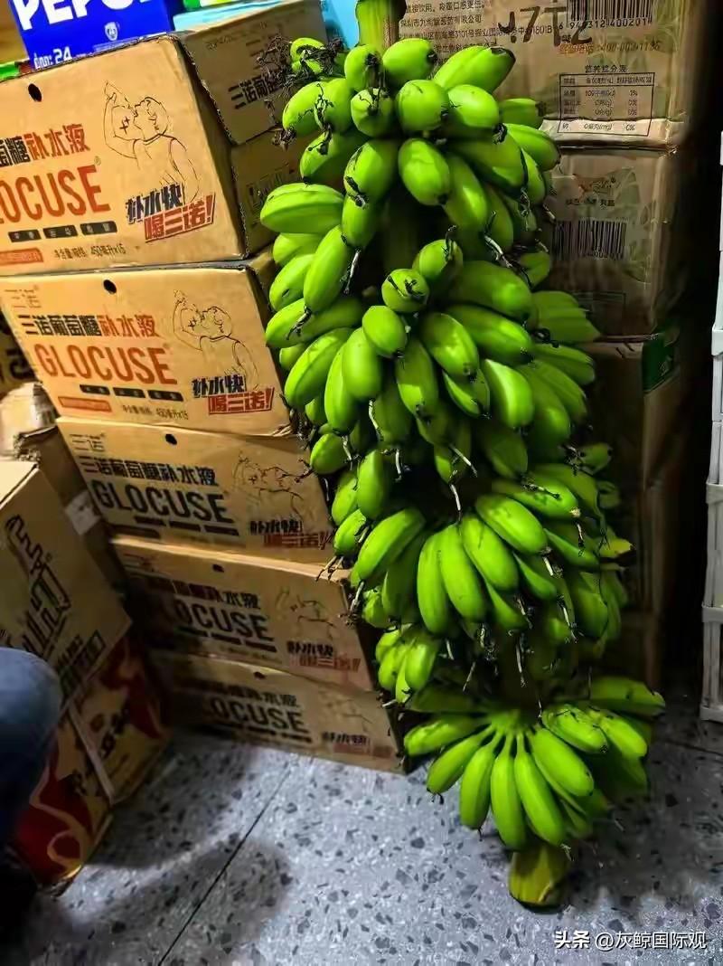 菲律宾30万蕉农没有了生计抱怨中国关闭了大门！蕉农应该把你们的防长，你们的总统赶